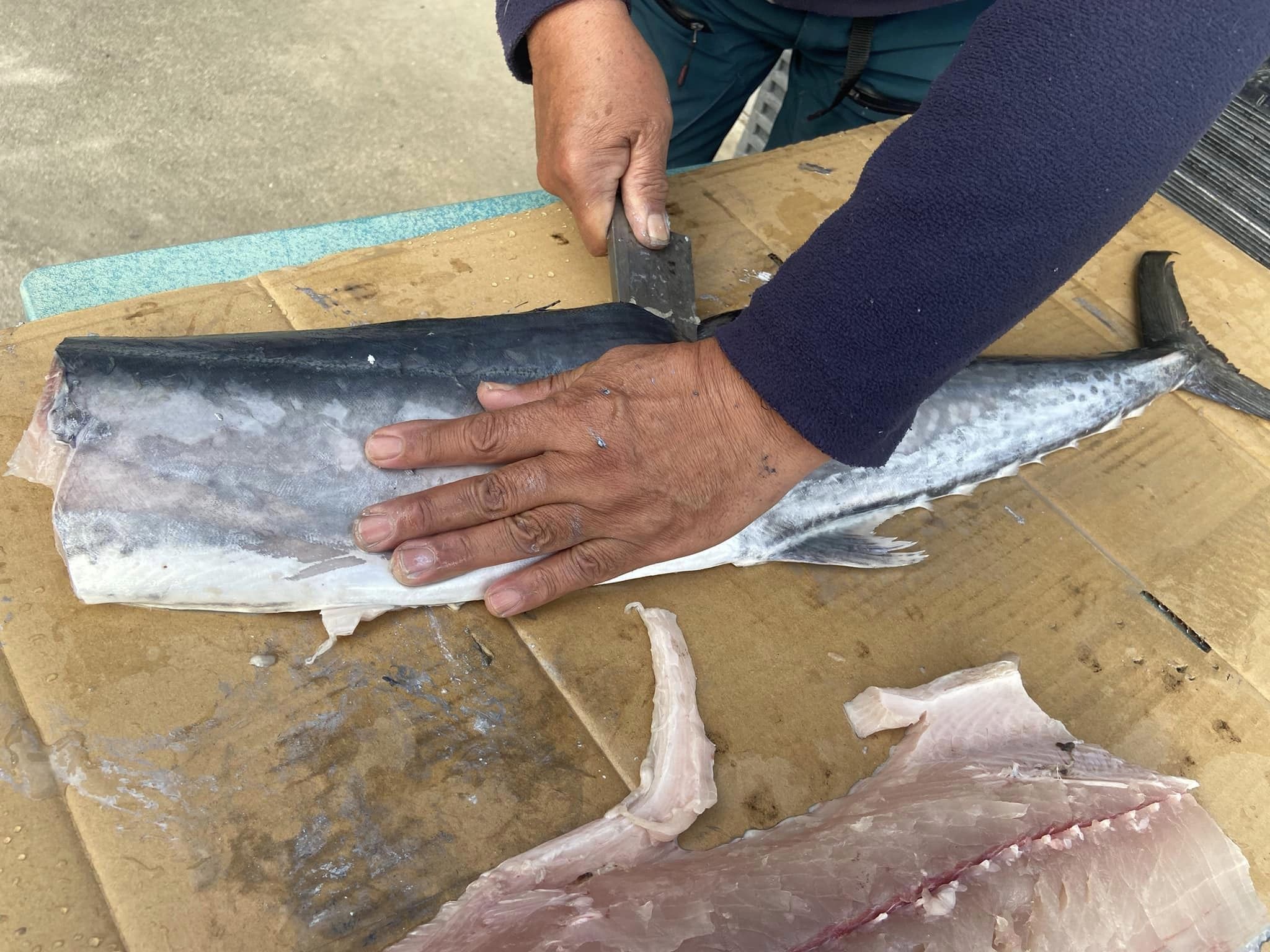 釣った魚は最後まで捌く! – 田中農園